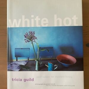 White Hot: cool colors for modern living by Elspeth Thompson & Tricia Guild